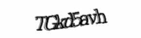Security check image, please type the characters shown